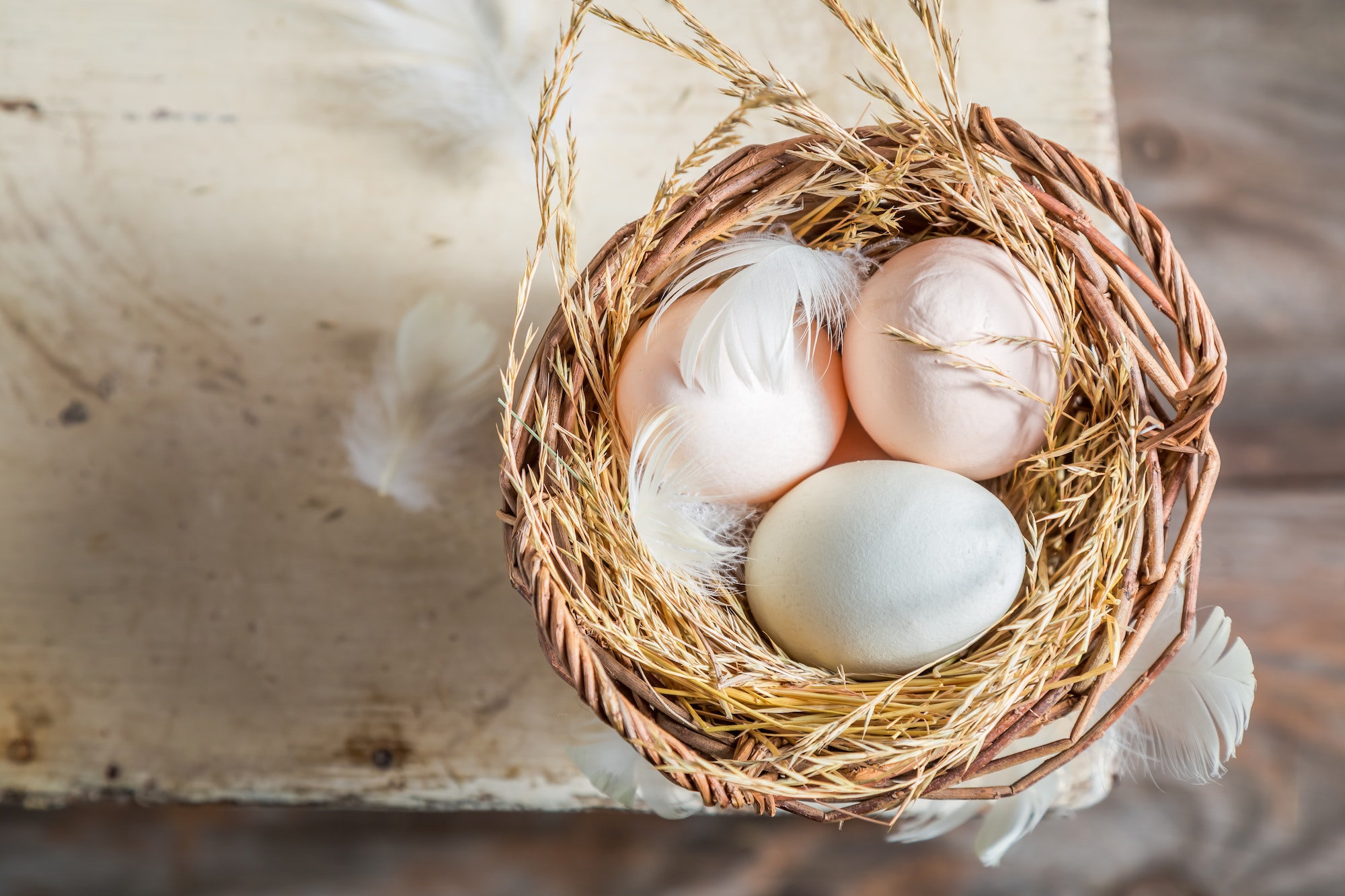 Healthy and ecological eggs in the basket