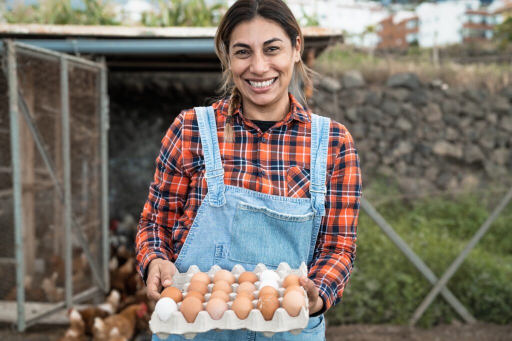 Mature female farmer picking up fresh eggs in henhouse garden - Farm people lifestyle concept