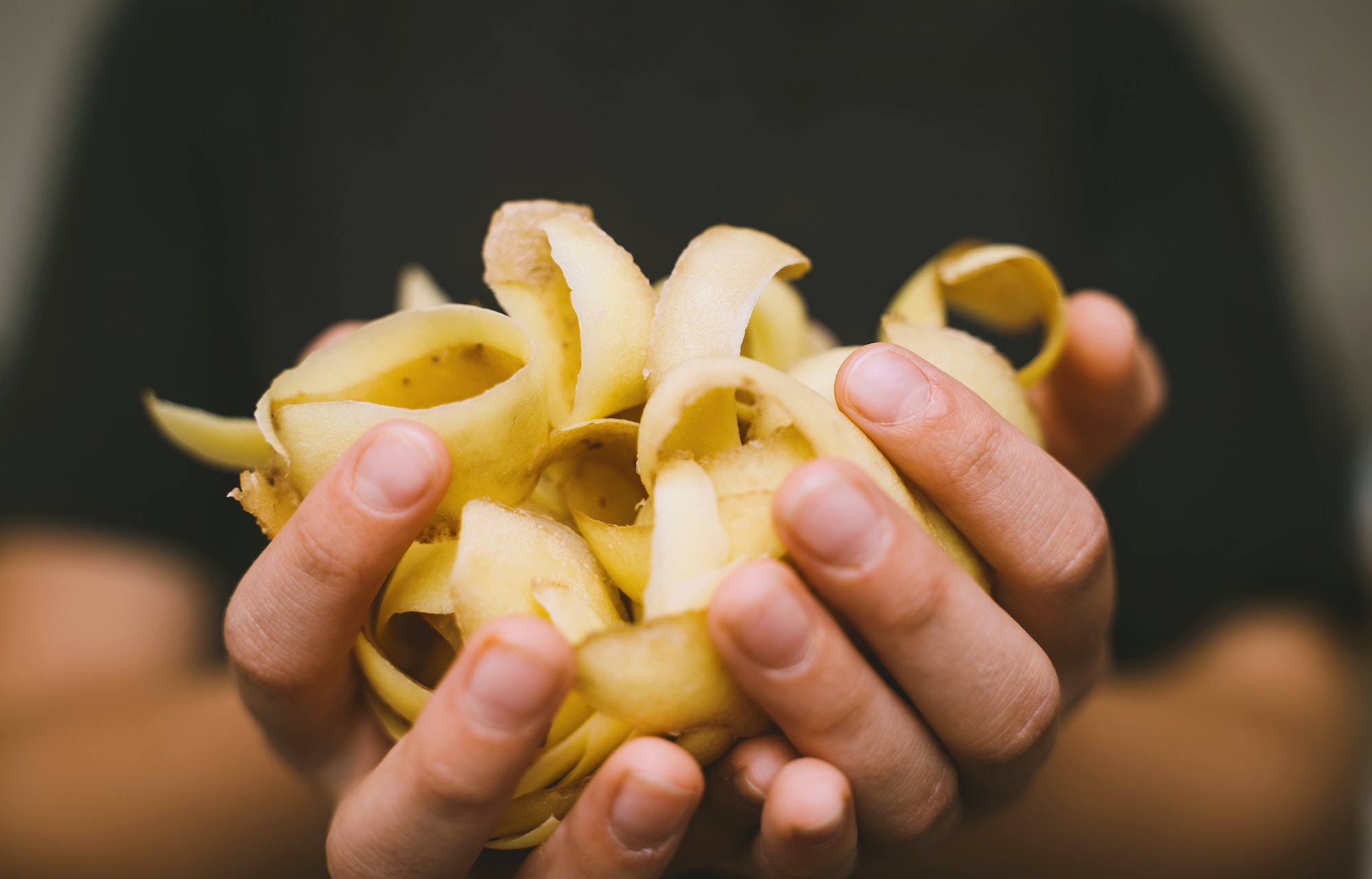 Potato vegetable peels in children hands. Compost concept, recycling of food waste.